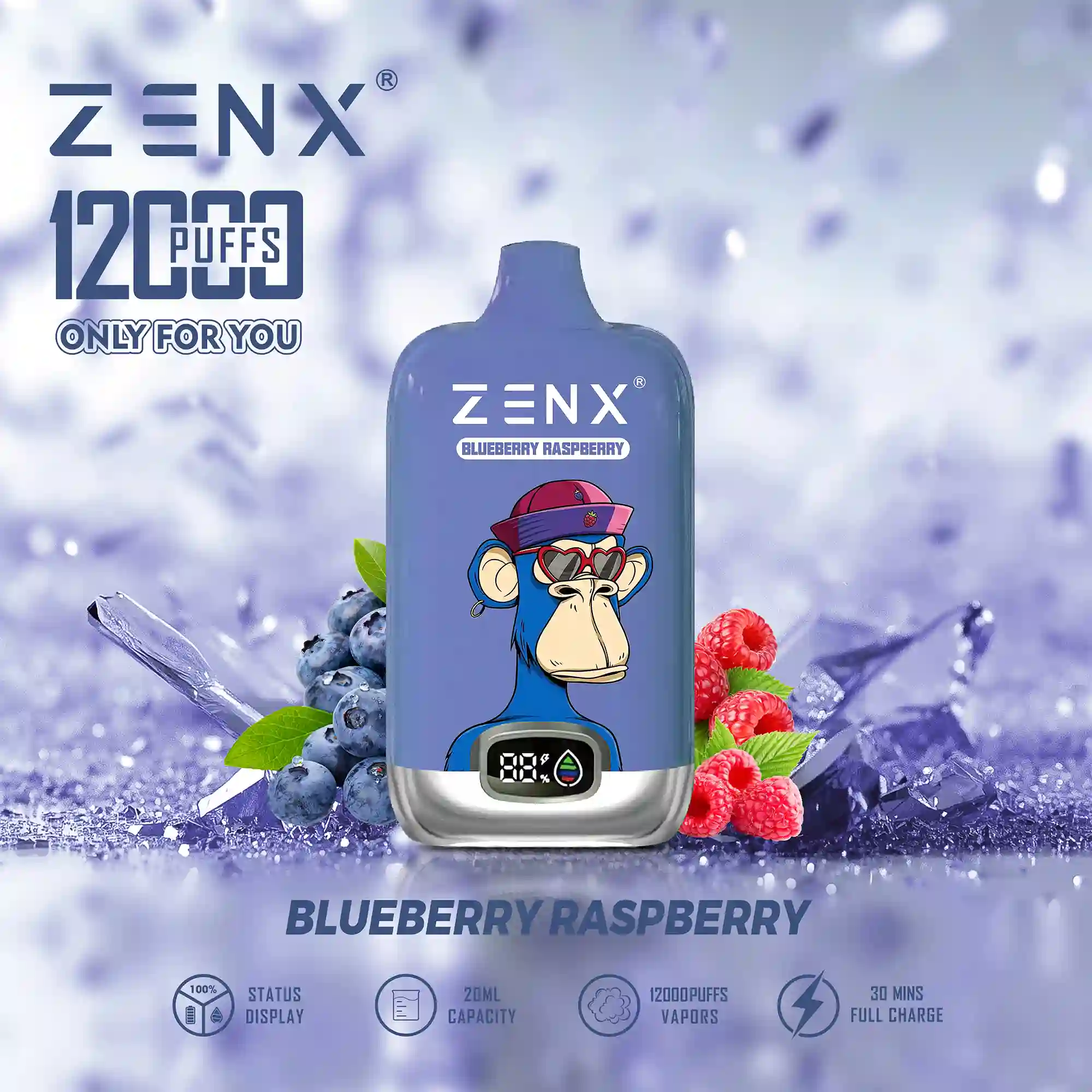 ZENX NFT Digital Box 12000 Puffs 12K Einweg Vape Pod - Blueberry Raspberry Vape - zenxvape.de